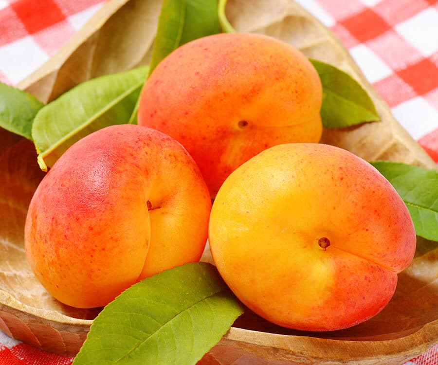 apricots