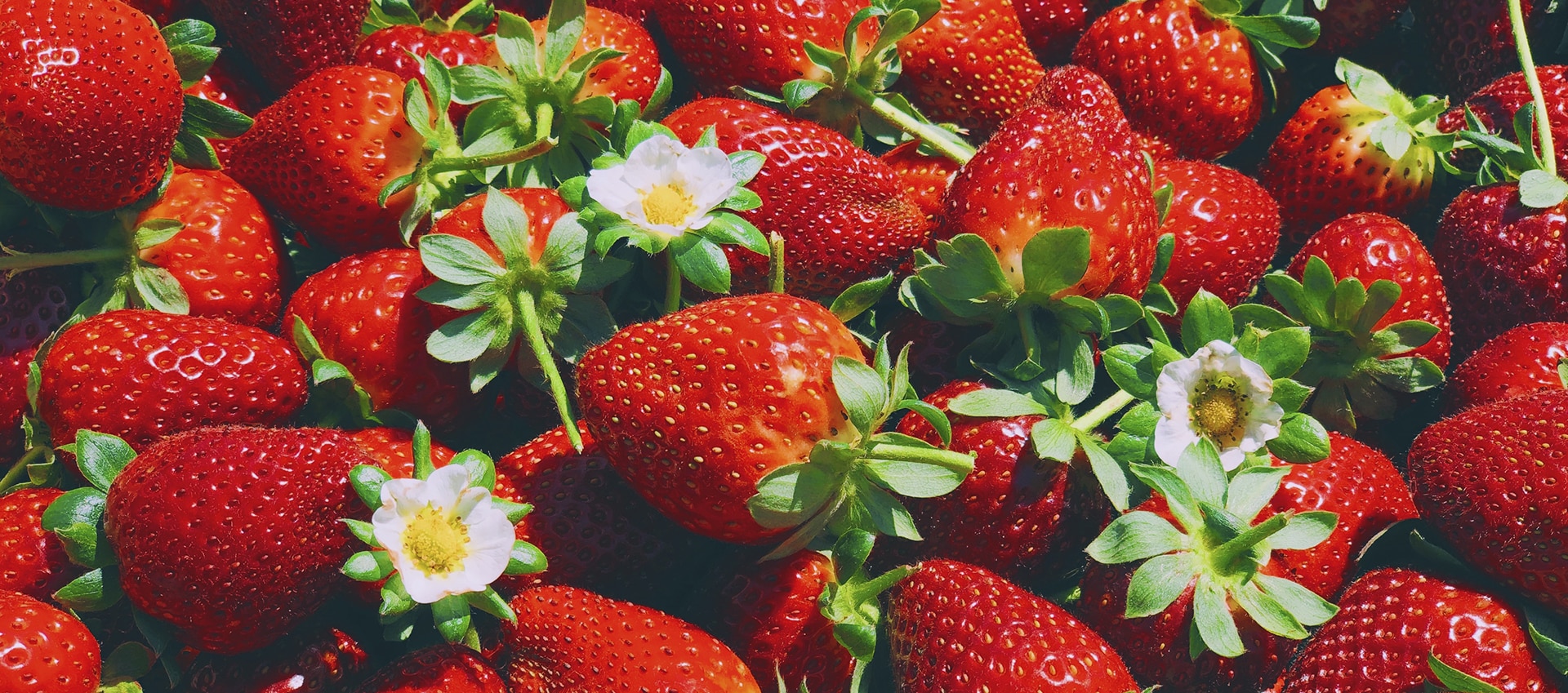 strawberries