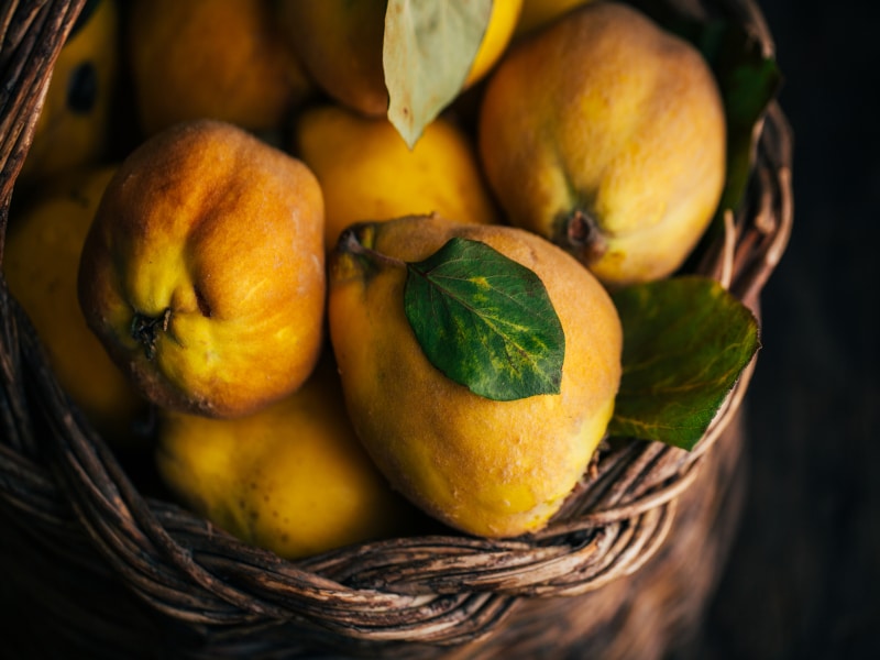 osmotic dried quince